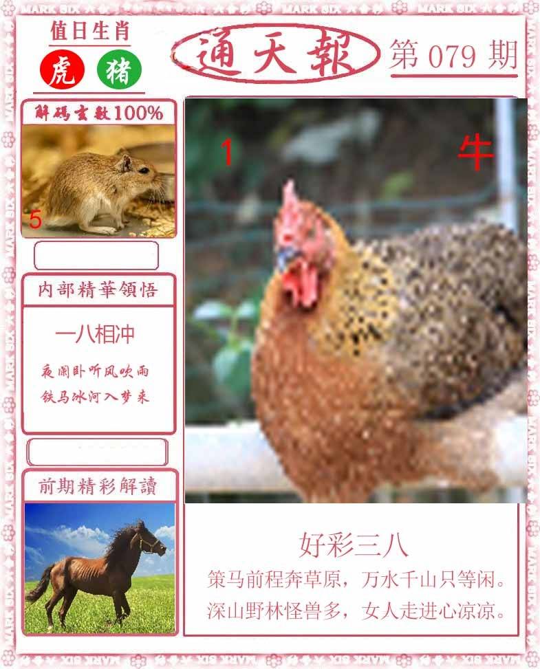 正版通天报