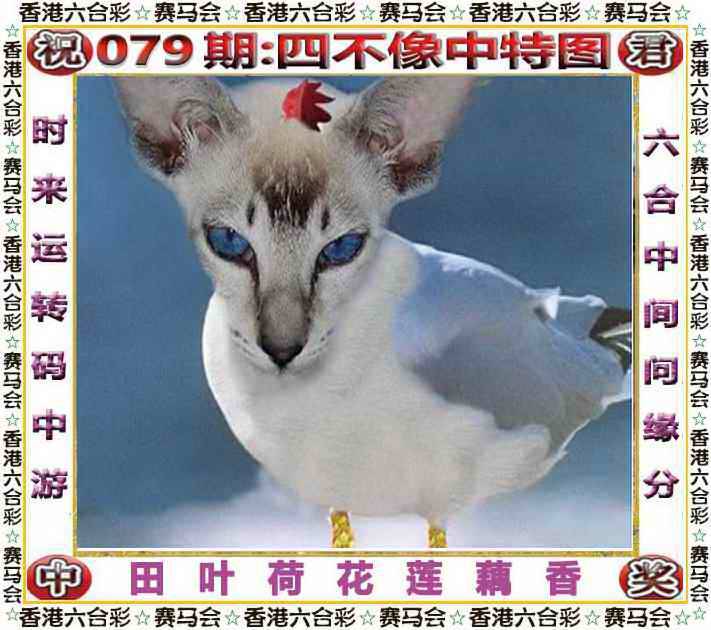 正版四不像