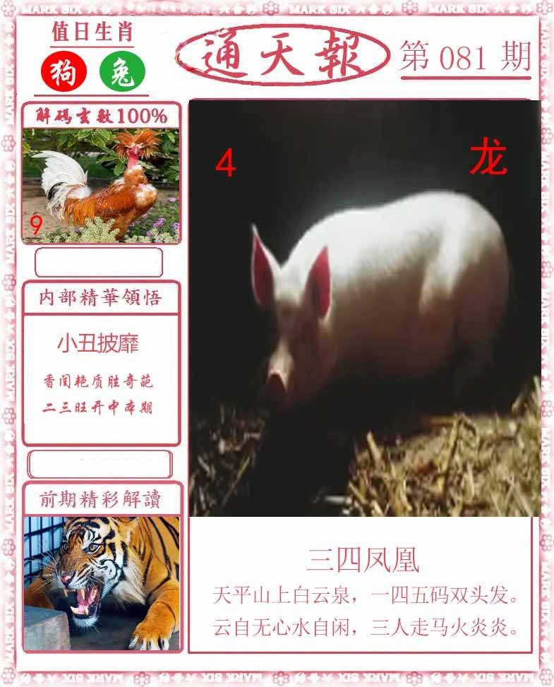 正版通天报