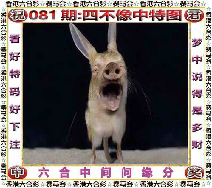 正版四不像