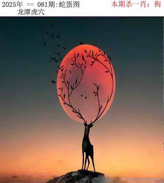 正版蛇蛋图