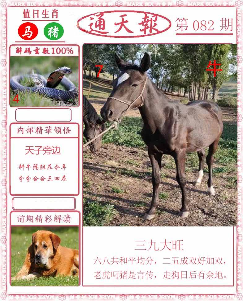 正版通天报