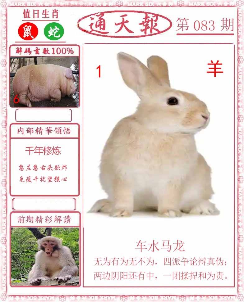 正版通天报