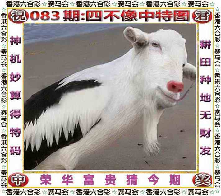 正版四不像