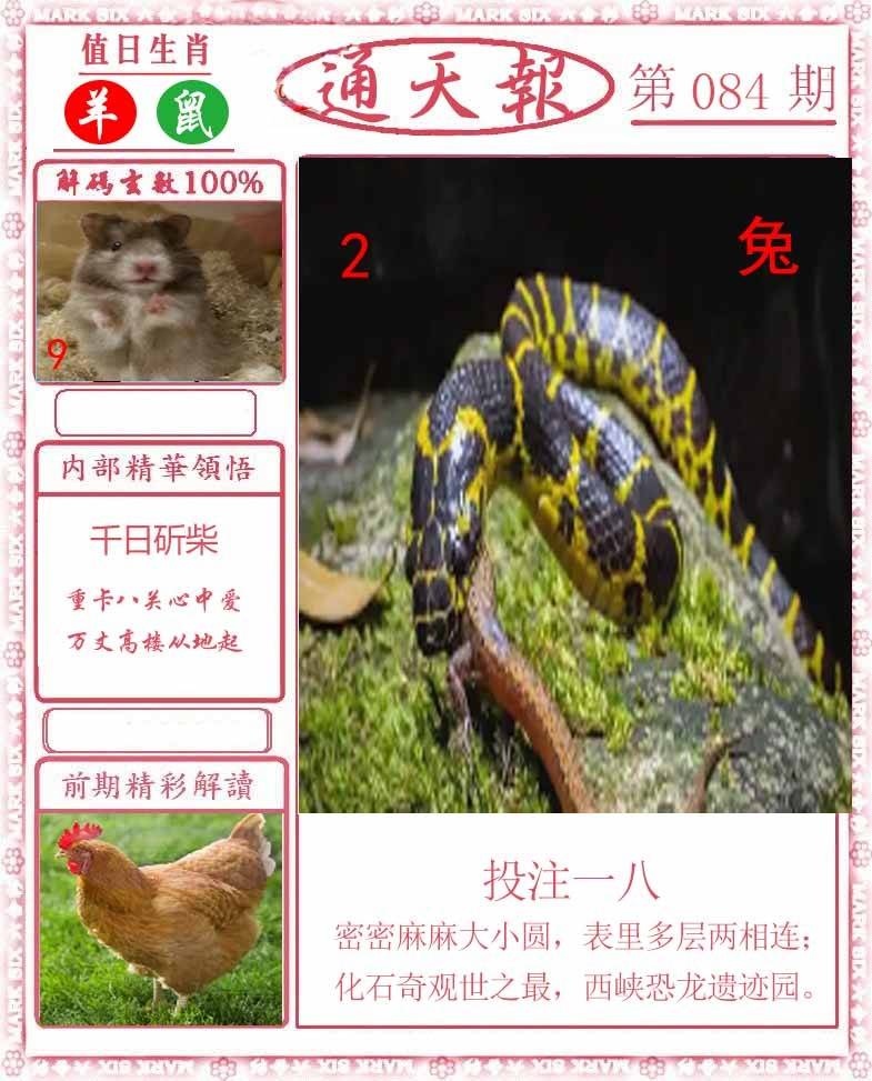正版通天报
