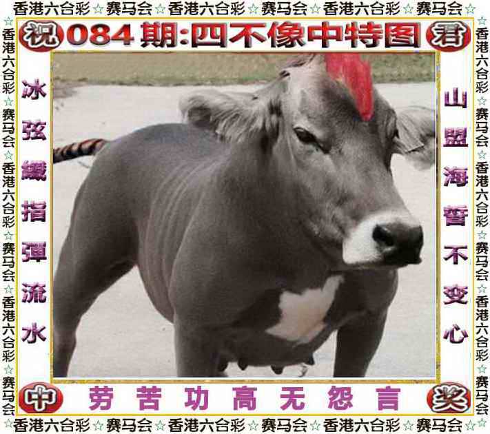正版四不像