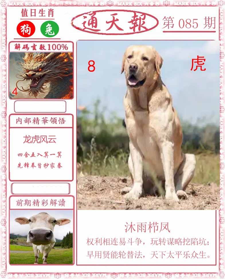 正版通天报