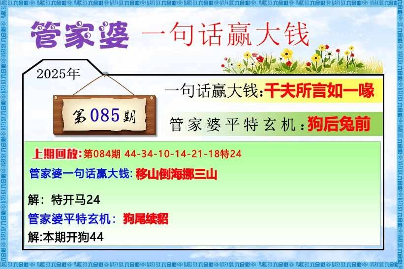 管家婆一句赢大钱