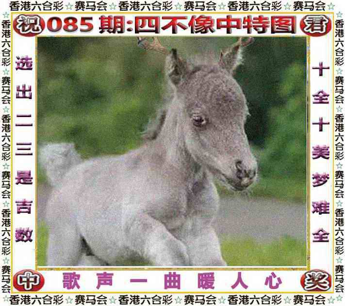 正版四不像