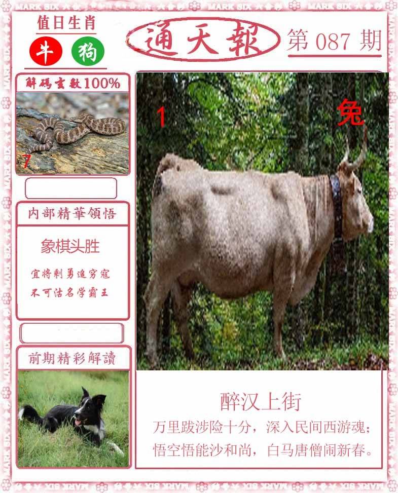 正版通天报