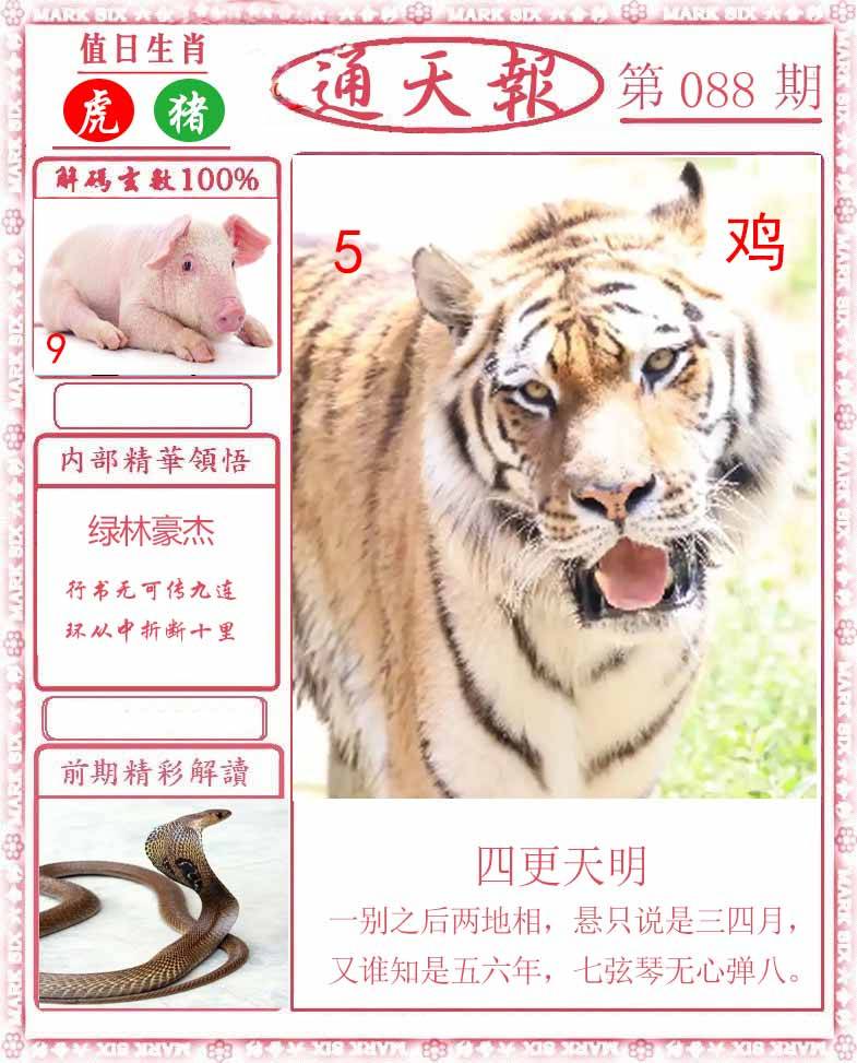 正版通天报