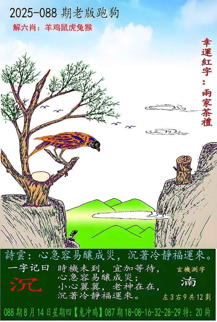 老版跑狗图