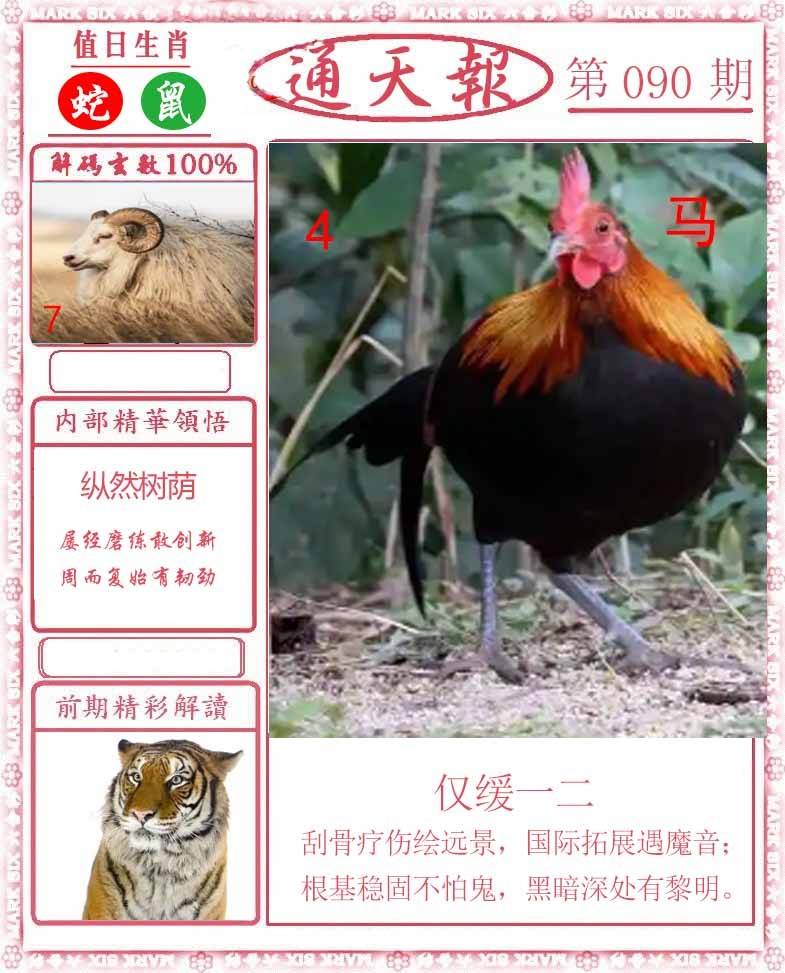 正版通天报