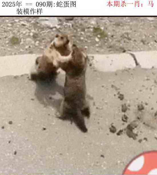 正版蛇蛋图