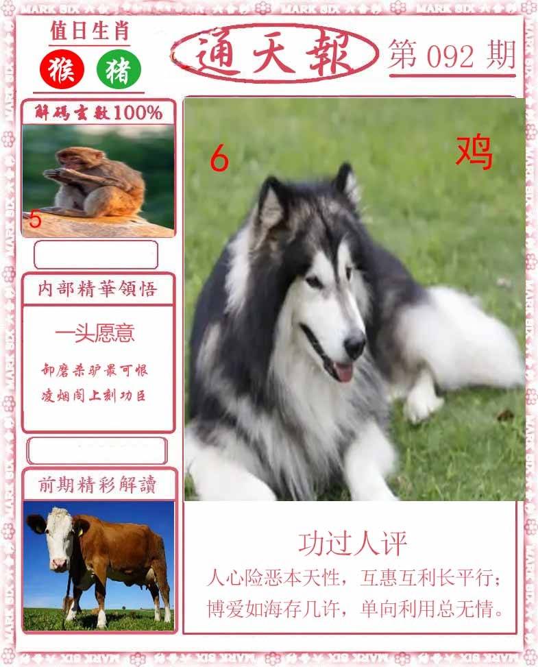 正版通天报