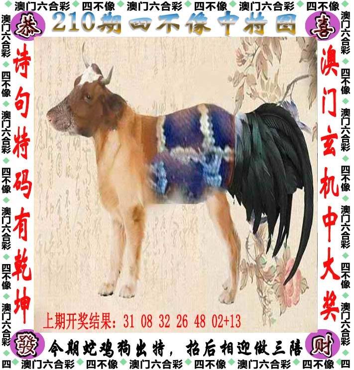 四不像中特图