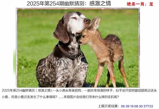 图库