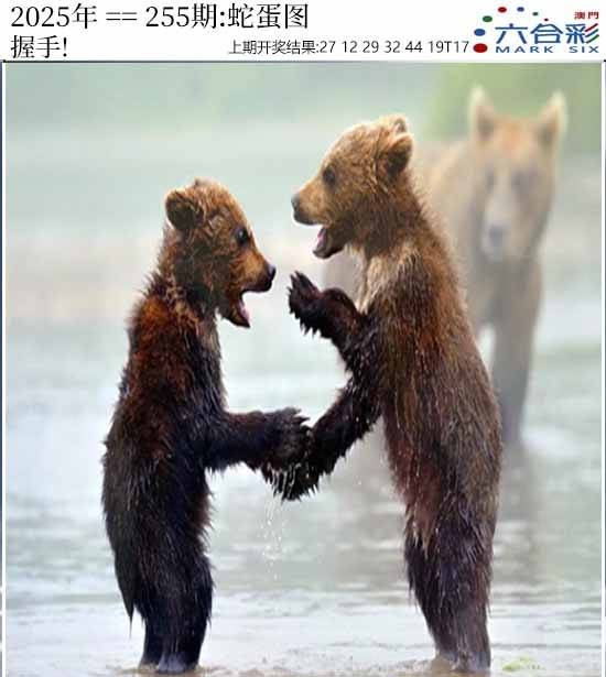 图库