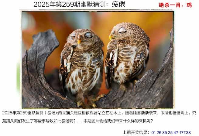 图库