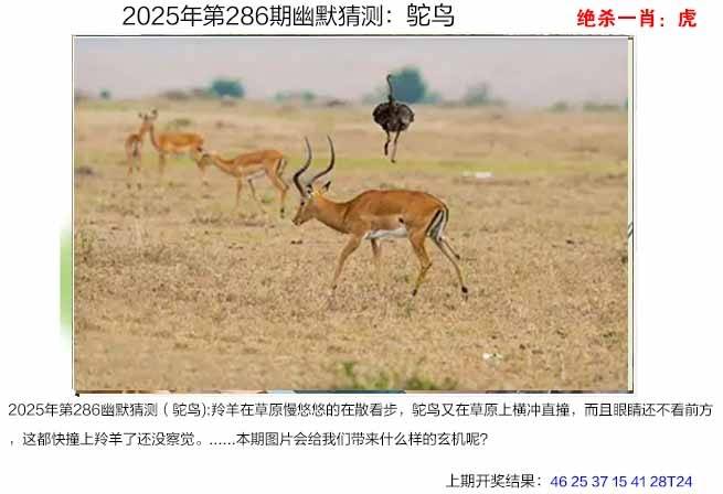 图库