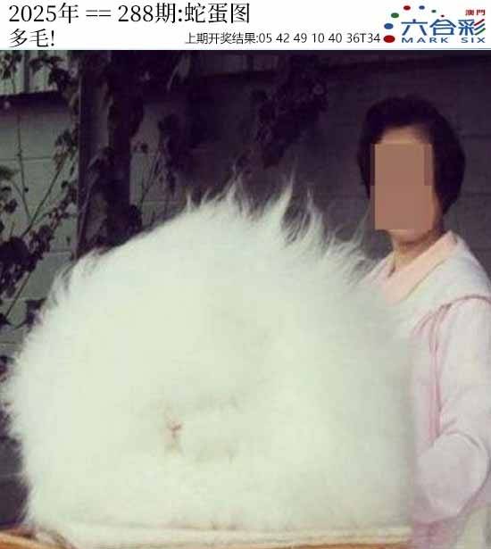 图库