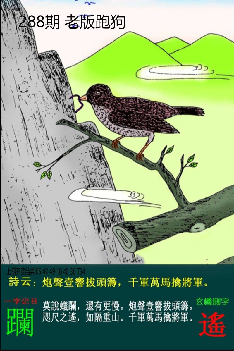图片正在更新中……