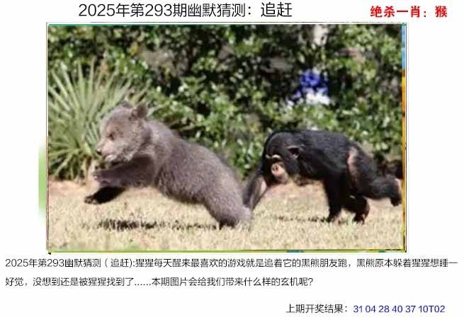 图库