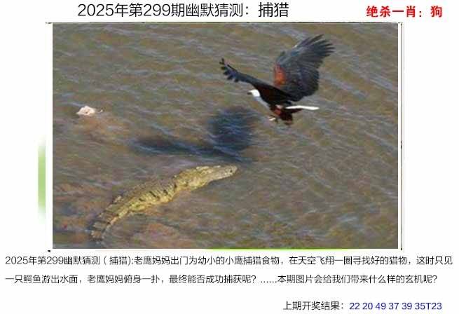 图库