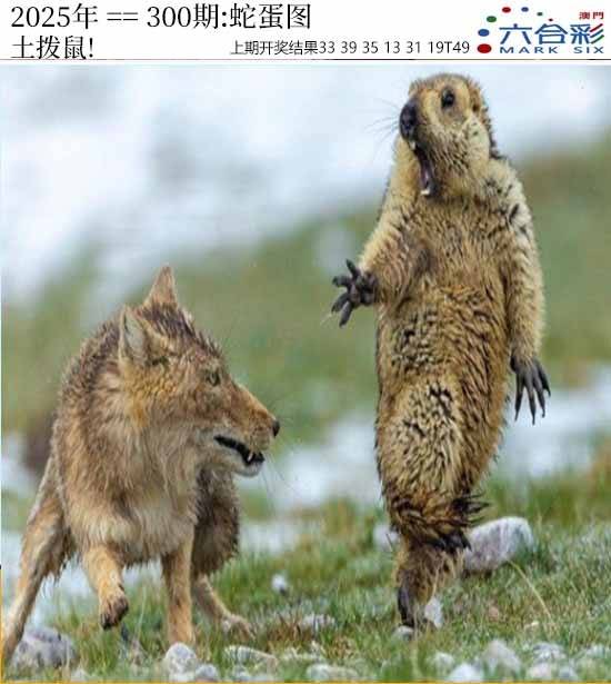 图库