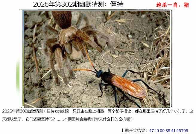 图库
